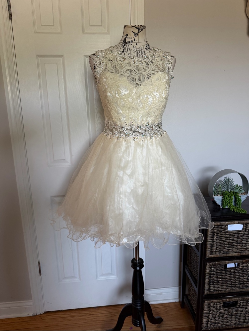 Elizabeth K GLS Embellish Lace sequin tulle Ivory A-Line Mini Dress Sz XXL Prom